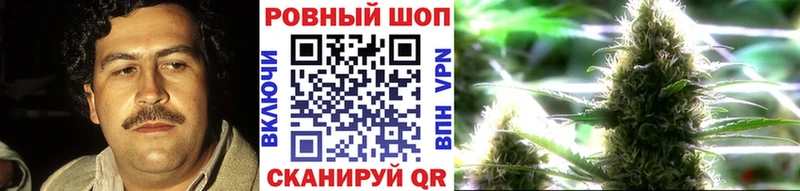 Где купить наркоту Зима ГАШ  Кокаин  МЕФ  Марихуана 
