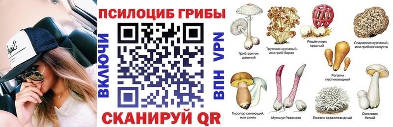 Галлюциногенные грибы Psilocybe Зима