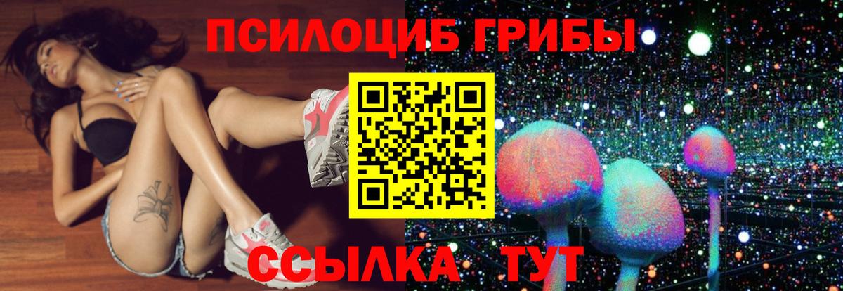 закладка  Вход с VPN  Зима  Галлюциногенные грибы Magic Shrooms 